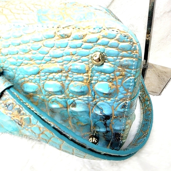 Brahmin - Picture 10 of 12